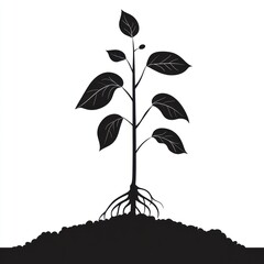 Young sapling growing in soil, roots visible, white background;  environmental use