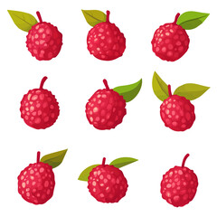 My Simple flat 2D illustration of lychee fruits set isolated on a transparent background, vector, flat design, animation design, simple flat 2D icon, clipart