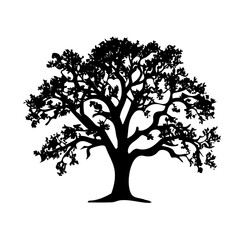 My Simple flat 2D illustration of oak tree isolated on a transparent background, vector, flat design, animation design, simple flat 2D icon, clipart