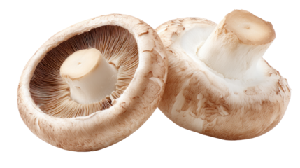 Mushroom Duo: A close-up shot of two portobello mushrooms. Captured to showcase their unique features, these mushrooms are a natural, earthy delight.