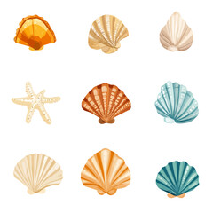 My Simple flat 2D icon, seashells set isolated on a white background, vector, vector, flat design, animation design, simple flat 2D icon, minimalist design, vector design, eps