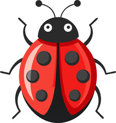 Fototapeta premium vector illustration of a ladybug