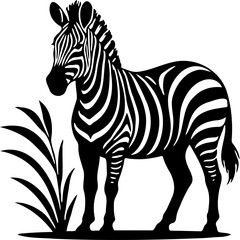 Fototapeta premium zebra silhouette vector illustration with white background