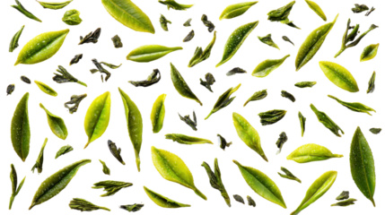 Green Tea Leaves Pattern: A captivating pattern of green tea leaves, with their intricate details and varying shades, arranged in a harmonious and visually pleasing composition.