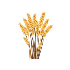 My very Simple flat 2D icon, wheat bunch isolated on a white background, vector, flat design, animation design, simple flat 2D icon, minimalist design, vector design, eps