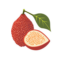 My very Simple flat 2D icon, whole salak fruit isolated on a white background, vector, flat design, animation design, simple flat 2D icon, minimalist design, vector design, eps