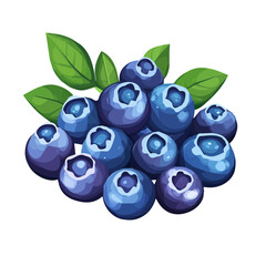 My very Simple flat 2D icon, blueberries cluster isolated on a white background, vector, flat design, animation design, simple flat 2D icon, minimalist design, vector design, eps