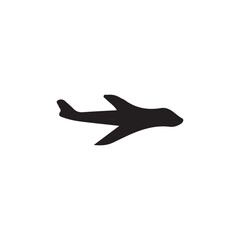 seagull in flight