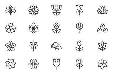 Flower line icon set. rose, tulip, daisy bouquet,  violet, jasmine, calendula, echinacea, iris, chamomile,  gardening,  landscaping, sunflower, lily, dandelion, line icon set. 