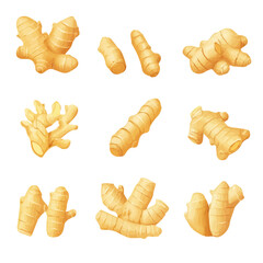 My very Simple flat 2D icon, ginger roots set isolated on a white background, vector, flat design, animation design, simple flat 2D icon, minimalist design, vector design, eps format