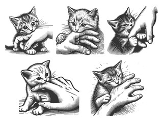 kittens biting hands in a playful Set collection bundle sketch engraving generative ai vector illustration. Scratch board imitation. Black and white image.
