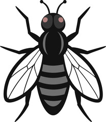 wasp isolated on white background