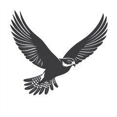 Obraz premium Peregrine Falcon in Flight, White Background, Wildlife