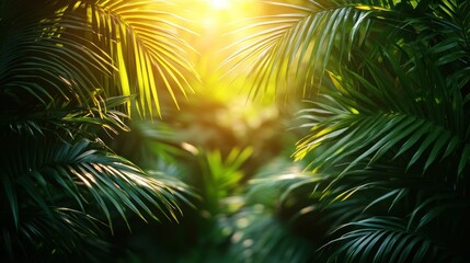 Sunlit Tropical Foliage Canopy with Lush Palm Fronds and Golden Backlight