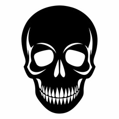human skull illustration