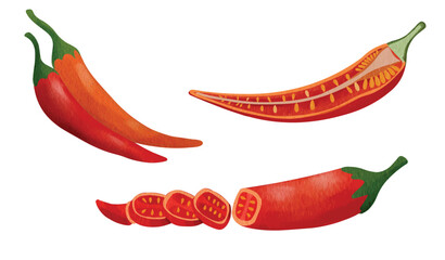 red chili pepper spice, culinary and food illustration