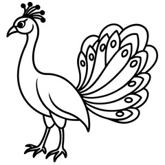 Fototapeta premium Spectral Peacock line art vector