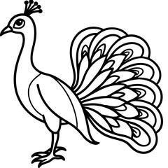 Spectral Peacock line art vector