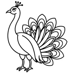 Spectral Peacock line art vector