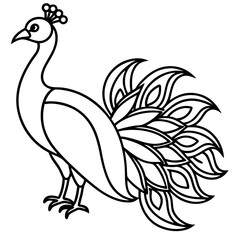 Spectral Peacock line art vector
