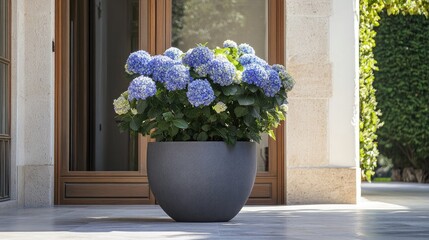 Large pot filled with vibrant green flowers positioned near an elegant entrance in a well-maintained garden setting