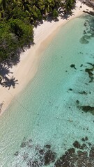 Drone photo of a white sandy paradise beach on a tropical island with palm trees and turquoise blue ocean water and corals