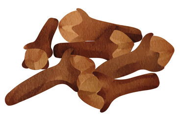 cloves spice illustration for culinary and food design