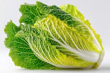 Fresh napa cabbage displayed on a clean white surface, showcasing its vibrant green leaves and crisp texture ideal for healthy dishes
