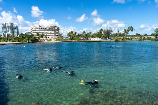 Snorkelers in Escambron Beach San Juan Puerto Rico 