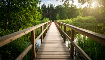 Serene Wooden Footbridge Over Calm Water in Lush Green Forest