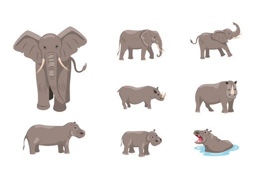 Gray And Brown Elephant Rhino Hippo Safari Animal Wild Illustrations Set