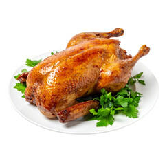 roasted chicken on white background