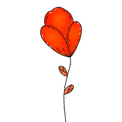 Orange flower bud .Flower illustration. Flowers transparent background. Flower cartoon, falling petals