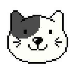 Fototapeta premium Flat design pixel art American Shorthair cat illustration