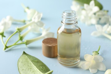 Bottle of essential oil and jasmine flowers on light blue background, closeup
