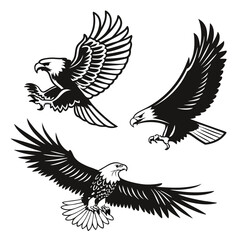 Fototapeta premium Egal black and white vector