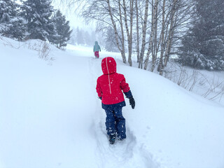 Children walking on a snowy path amidst trees in winter snowfall