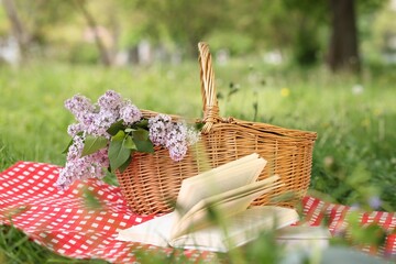 Books, blanket and wicker basket with lilac flowers on green grass outdoors