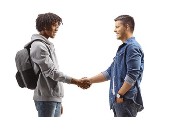 African american male student and a caucasian man shaking hands