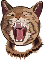 The cat growled in anger.