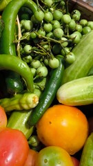 Fresh vegetables for cooking. Vegetables contain dietary fiber that helps cleanse the intestines.