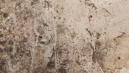 Concrete surface with moss stains, old cement wall