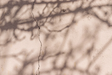 Hard tree shadows on light beige old cracked concrete wall on sunny day
