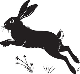 Bunny run and jumping on white background © Abu sayam CF 1805249