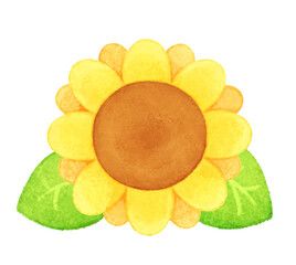 葉っぱ付きのヒマワリのイラスト