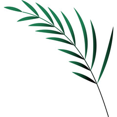 Palm Leaf Decoration