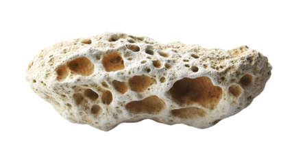 Porous Rock Isolated on Transparent Background with Shadows for Geological Illustration