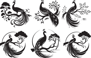 Obraz premium Elegant black peacock silhouettes on trees, birds, nature, design elements