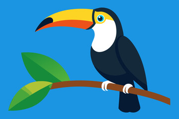 toucan on a branch