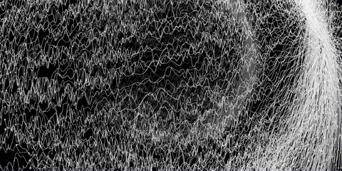 Bunch of Curved narrow white traces or trails on black . Eps10